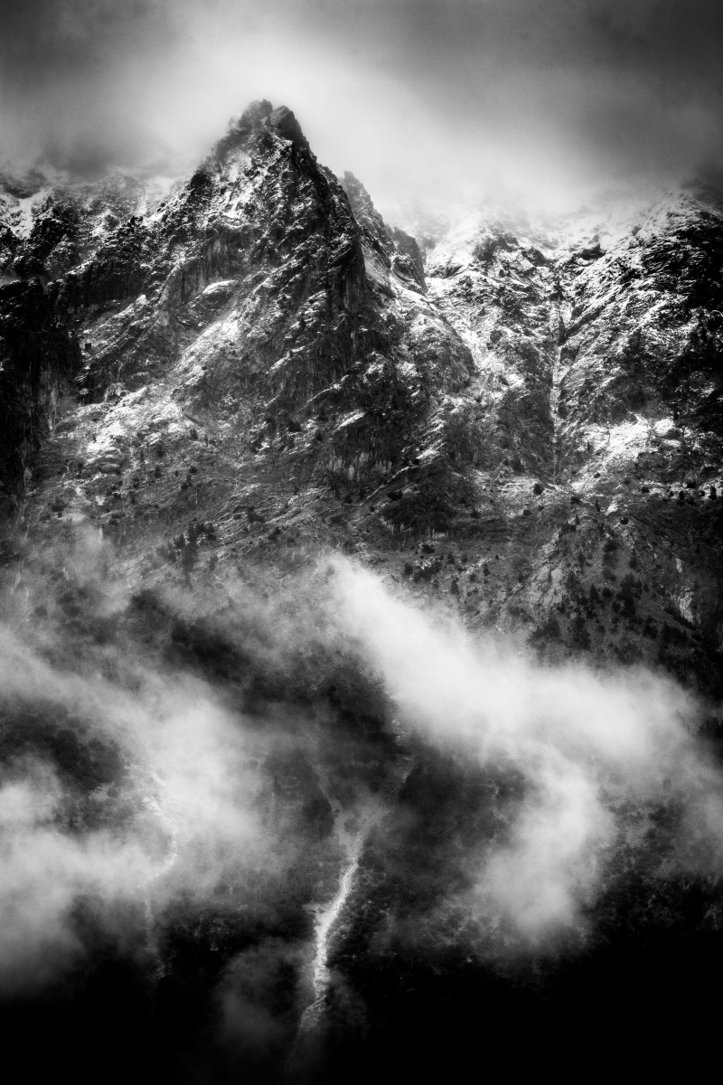 Bouquetin pris lors du stage photo sur le bouquetin des Alpes
