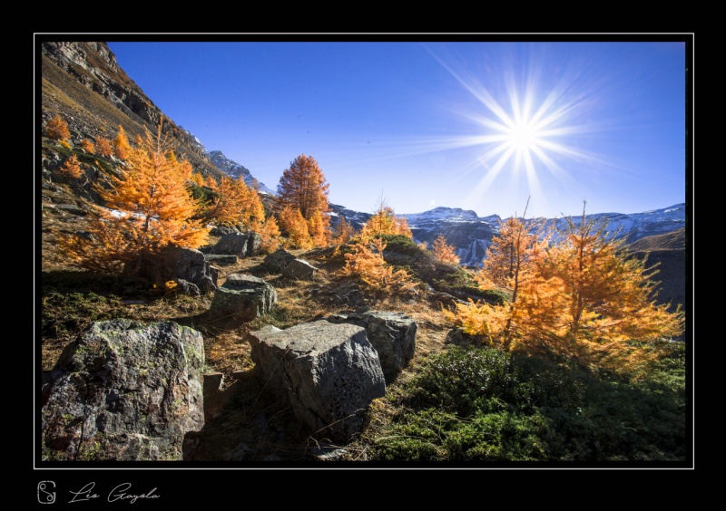 Une image d'un des derniers stages photo en automne dans le parc national des Ecrins