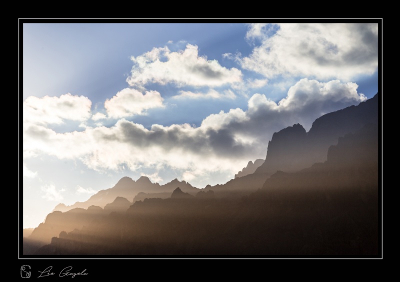 Semaine de stage photo animalier montagne