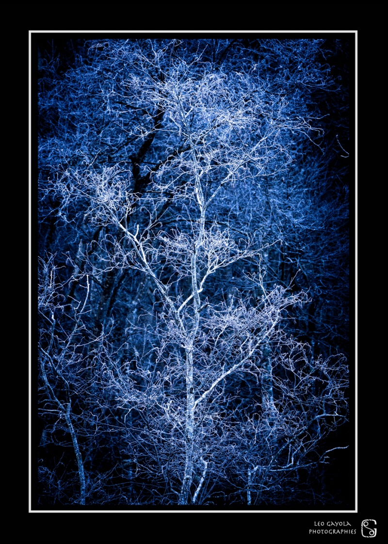 En hiver dans le Valgaudemar, les photos sont grandioses