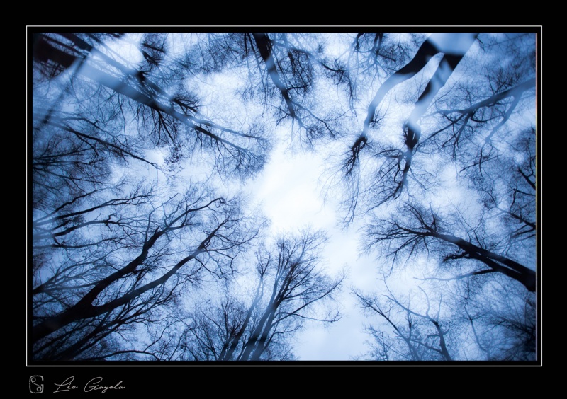 Stage photo nature en montagne