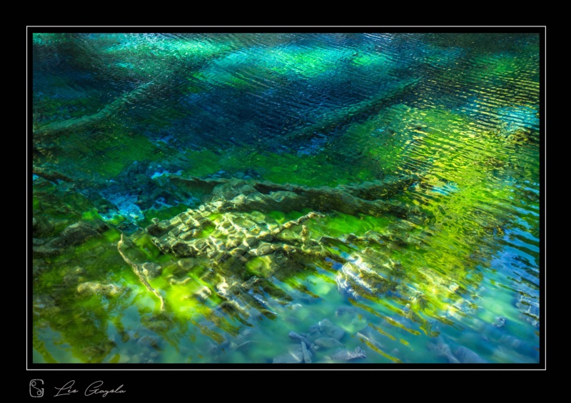 Léo gayola nous a montré comment faire pour prendre une belle photo artistique avec l'eau verte de la Clarée
