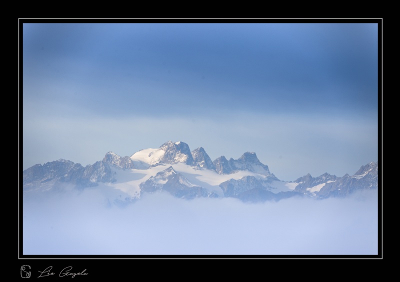 Stage photo nature dans le Queyras, Alpes