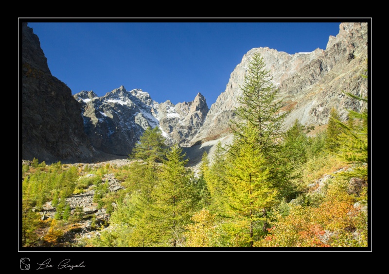 Nature et photographies dans le Parc du Grand Paradis, Atelier photo en montagne