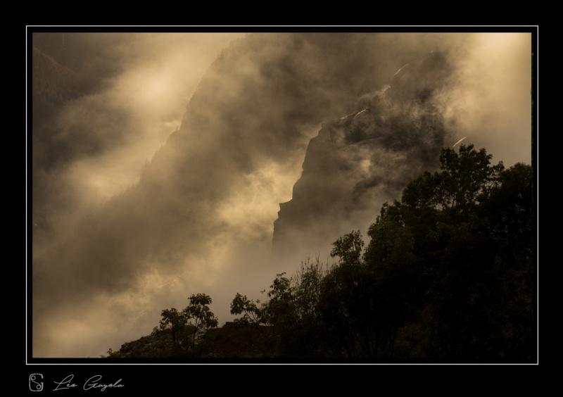 Stage photo nature en montagne avec Léo Gayola, hautes-alpes