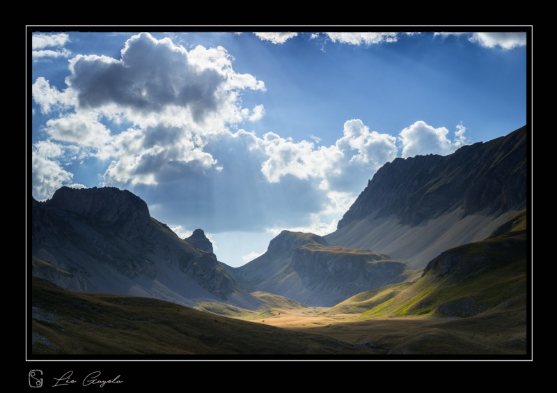 stage photo animalier et paysage d'été en montagne