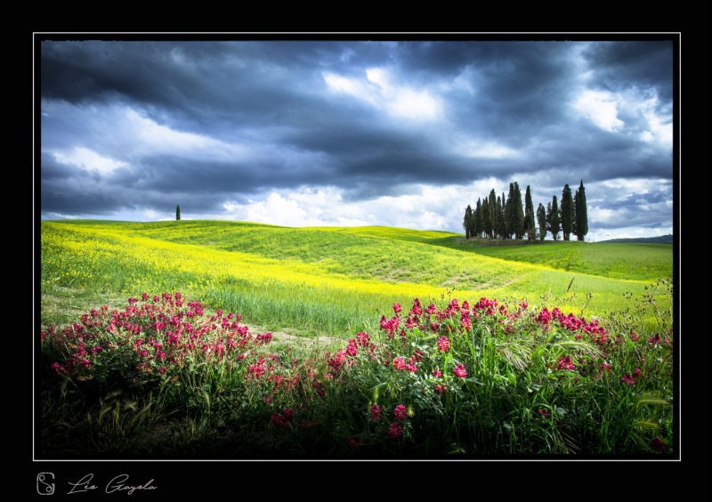 séjour photo de paysage en Toscane au printemps