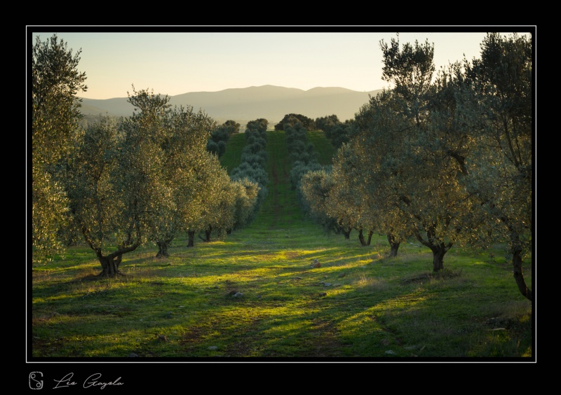 Voyage photo en images près de Pienza et Sienne