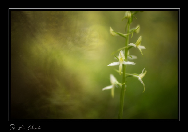 Le stage photo traitement d'images et application lightroom est lancé