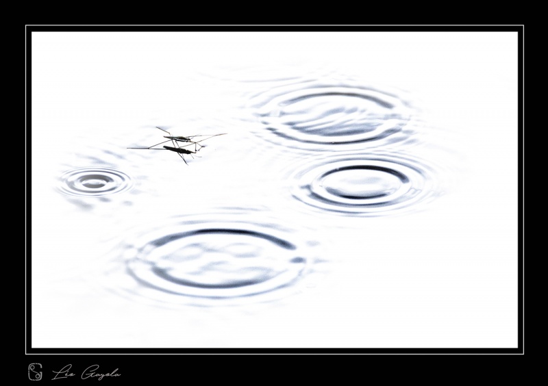 stage images et photo en haute montagne, l'eau pour la photo nature