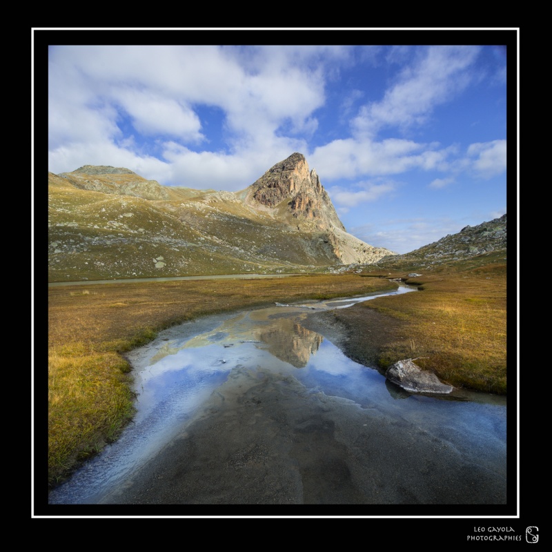 Formation photo nature en Ubaye avec Léo Gayola