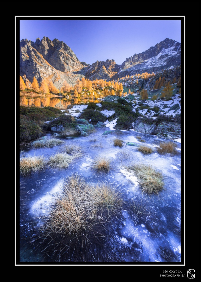 Nature et montagne dans le Queyras et le Mercantour