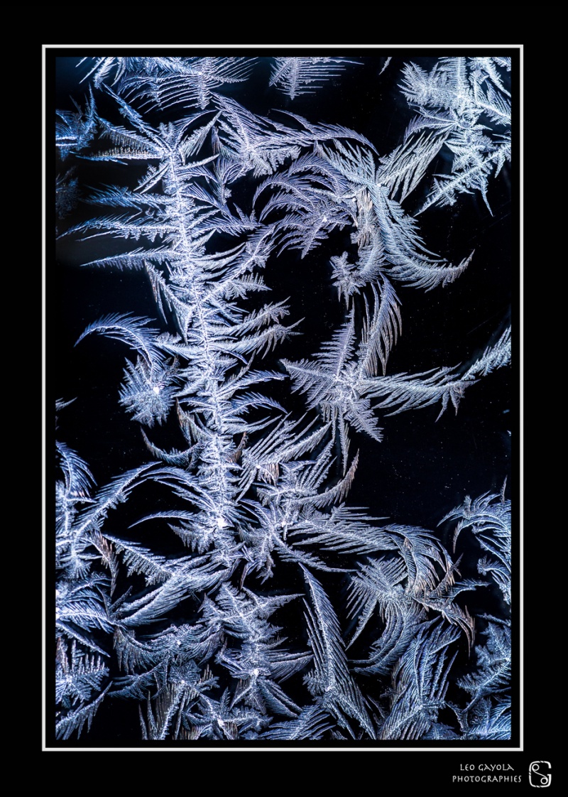 Givre et glace photographiés en macro pendant le stage photo animalier hivernal en Clarée avec Léo Gayola