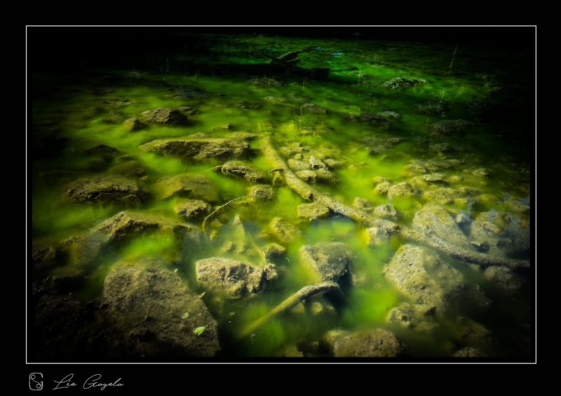 Nature dans l'ambiance et paysages en Clarée avec Léo Gayola