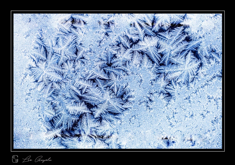 Givre et glace photographié en macro pendant le stage photo automnal dans la vallée de la Clarée avec Léo Gayola