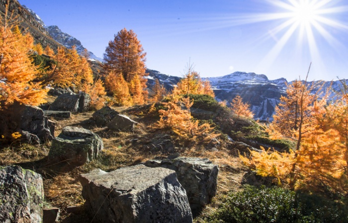 Une image d'un des derniers stages photo en automne dans le parc national des Ecrins