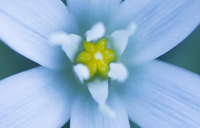 Atelier macro photo à Embrun