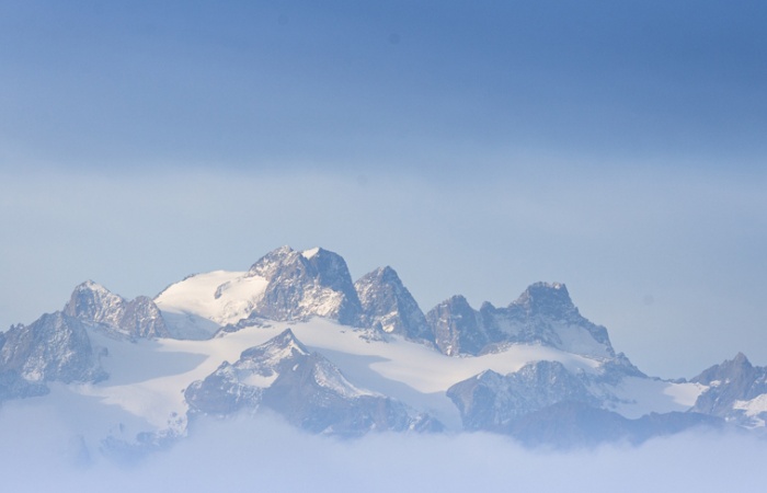 Stage photo nature dans le Queyras, Alpes