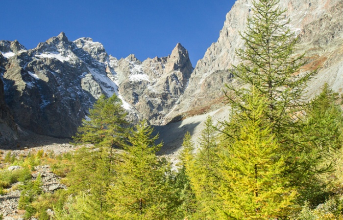 Nature et photographies dans le Parc du Grand Paradis, Atelier photo en montagne