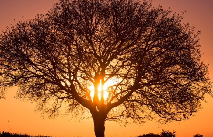 Photo prise lors d'un séjour photo de paysage en Toscane au printemps