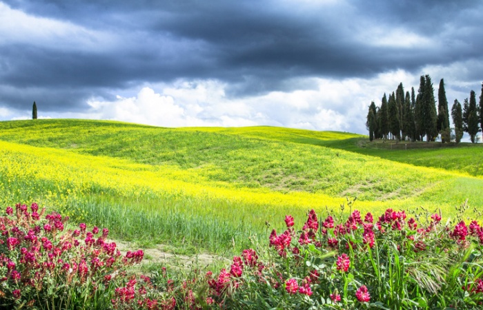 séjour photo de paysage en Toscane au printemps