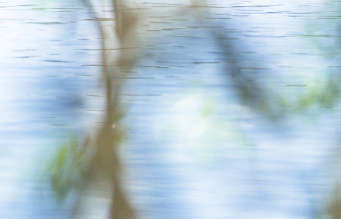 Stage photo nature oiseaux et animalier / atelier images naturelles