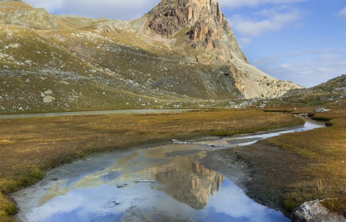 Formation photo nature en Ubaye avec Léo Gayola