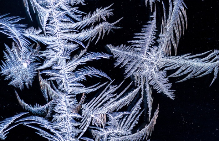 Givre et glace photographiés en macro pendant le stage photo animalier hivernal en Clarée avec Léo Gayola